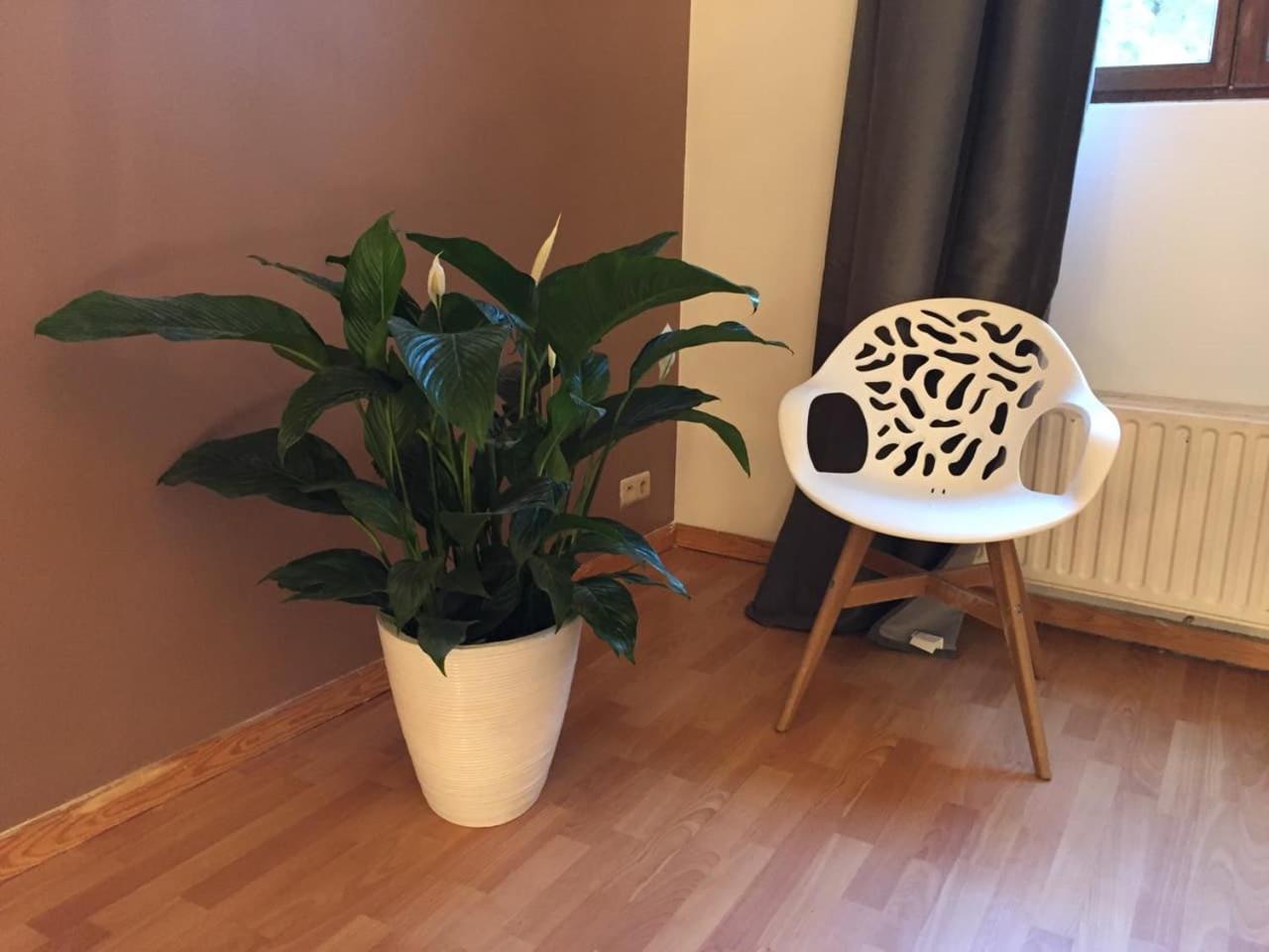 Apartment Daily -